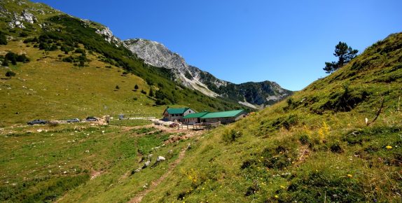 AVTMalga2 AVTMalga2
